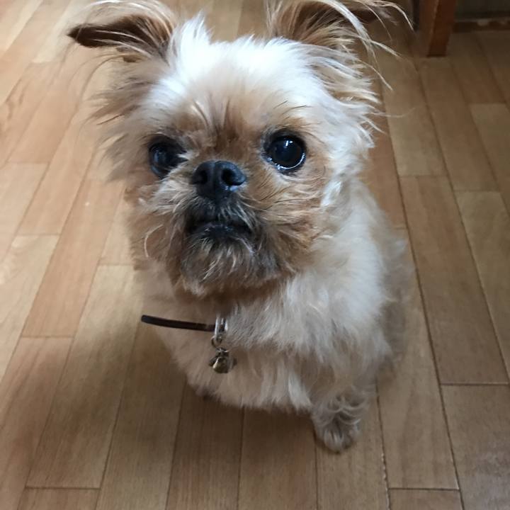 E8c20261 b23c 4b76 a421 9b6fa57780ef