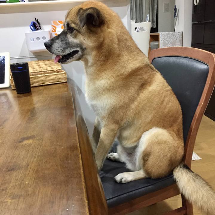 E8c205f3 8d13 4583 b304 097e5b1903e3