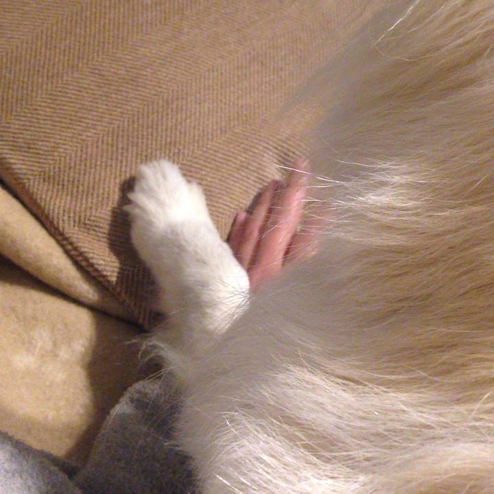 E8c24047 9580 4e30 abd8 b2e6f4fd7715