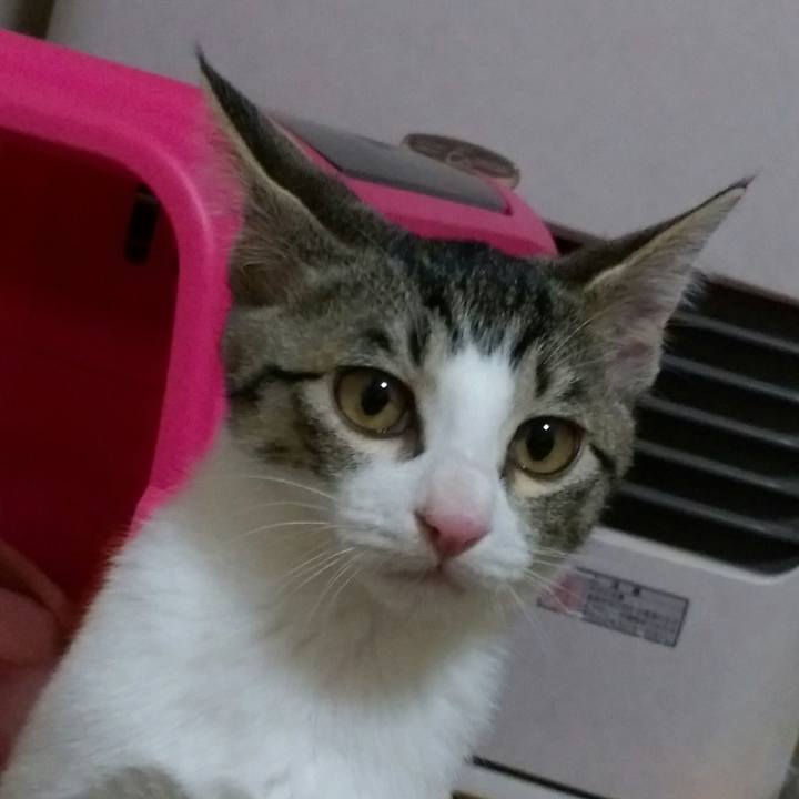 E8c25542 5e2e 427f a2fa f6401605316d