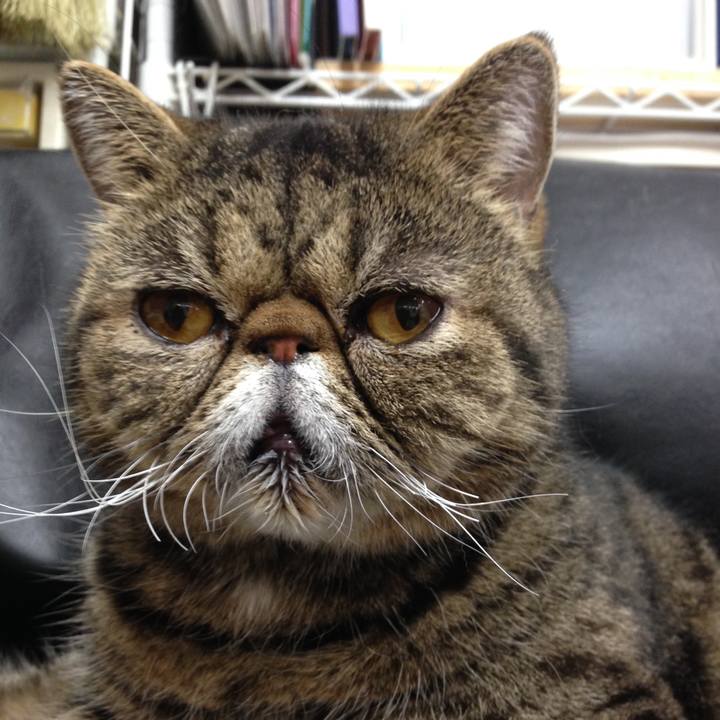 E8c2d6f8 0f86 42fd a35f 133f28e602d3