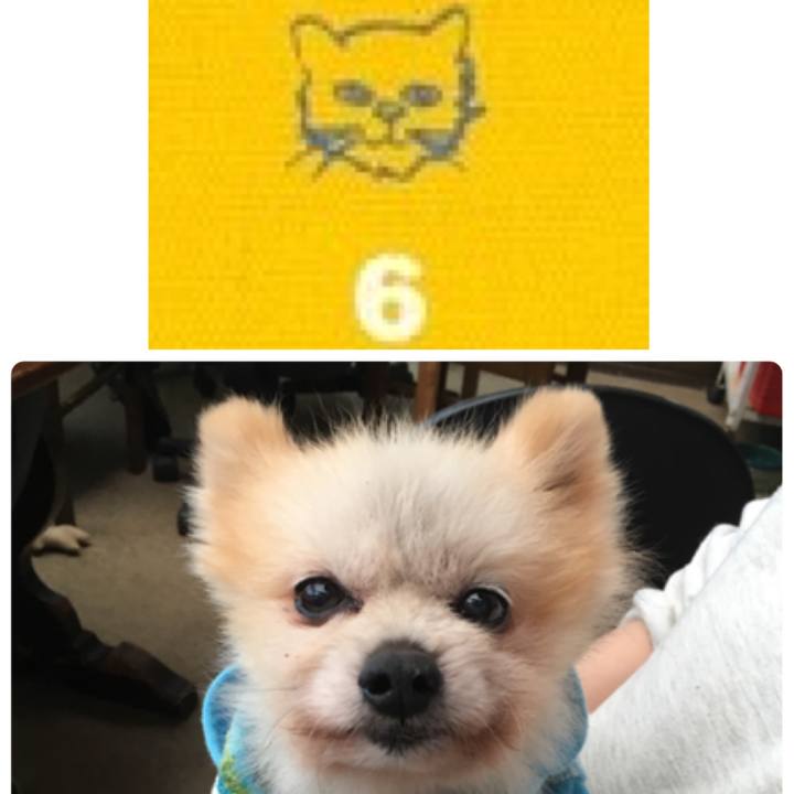 E8c31004 20de 41bf 87b9 c9efb13c70c1