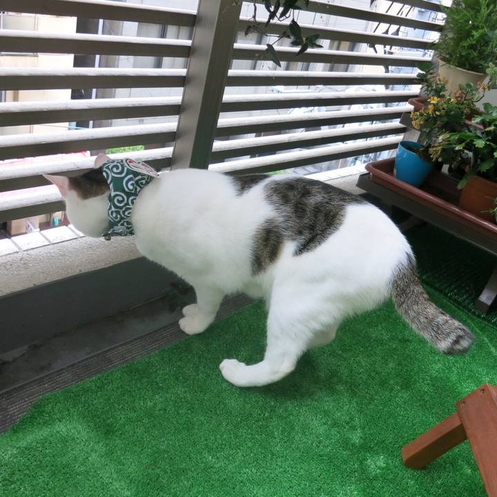 E8c3868b f3ae 4f45 9965 facf2b5f431b