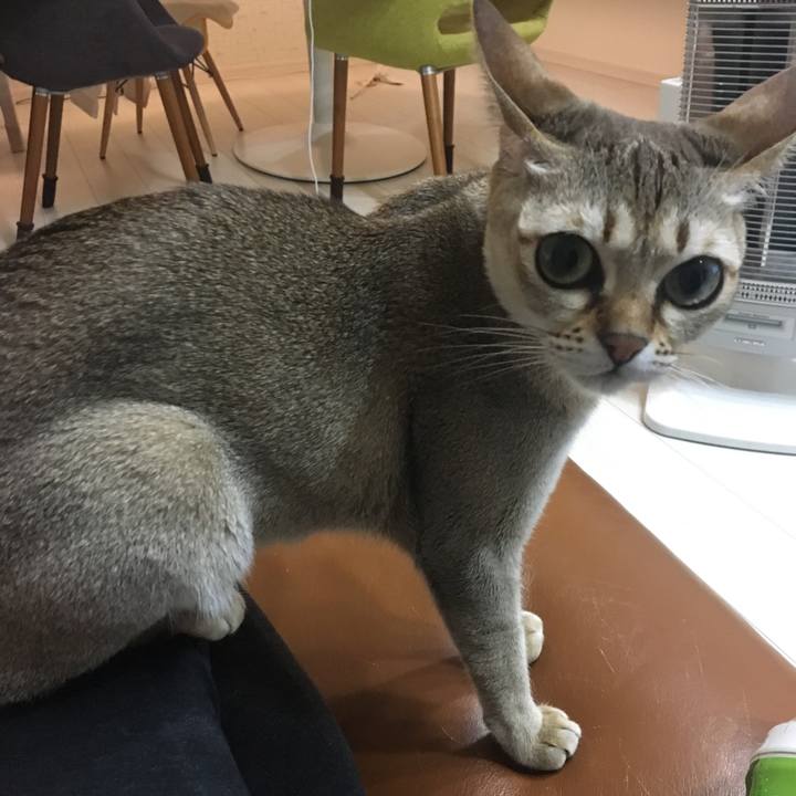 E8c3a507 2a69 4f68 982c 1932ef5e95f9