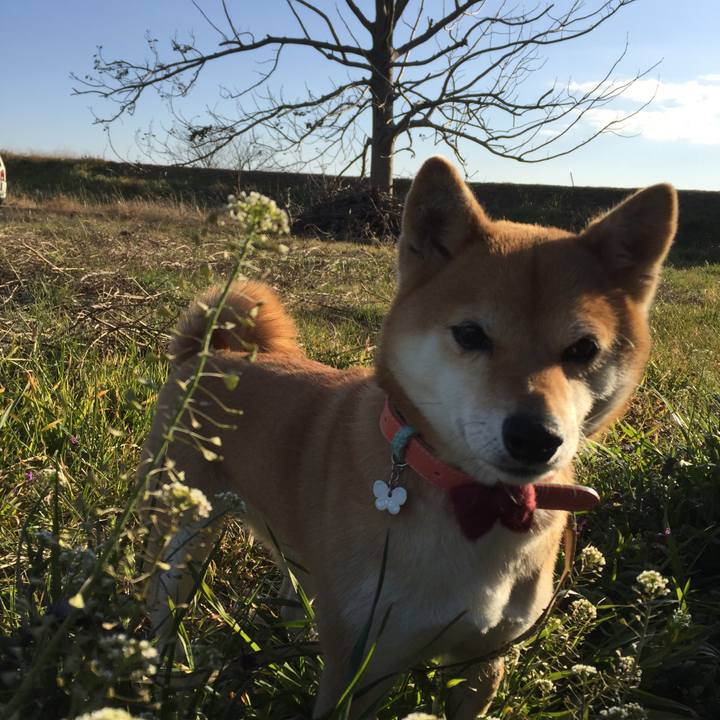 E8c459e5 5200 4628 8537 fc8b5f01ff12