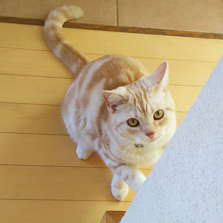 E8c48dde cdfd 4f64 977b 2607e96493ff