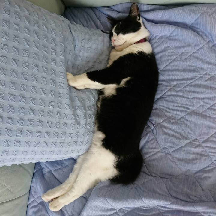 E8c52199 197b 4378 9a40 c518b84b1867