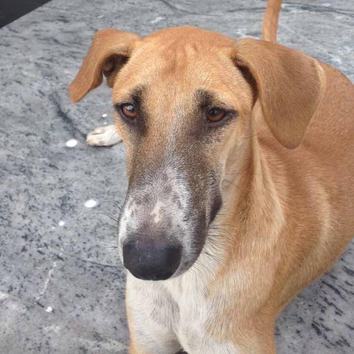 E8c524de b06d 4941 ad0a 5e9717b6fd57