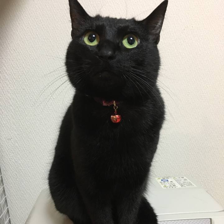 E8c68577 7f2c 4310 ae2b 806e9ae5ae94