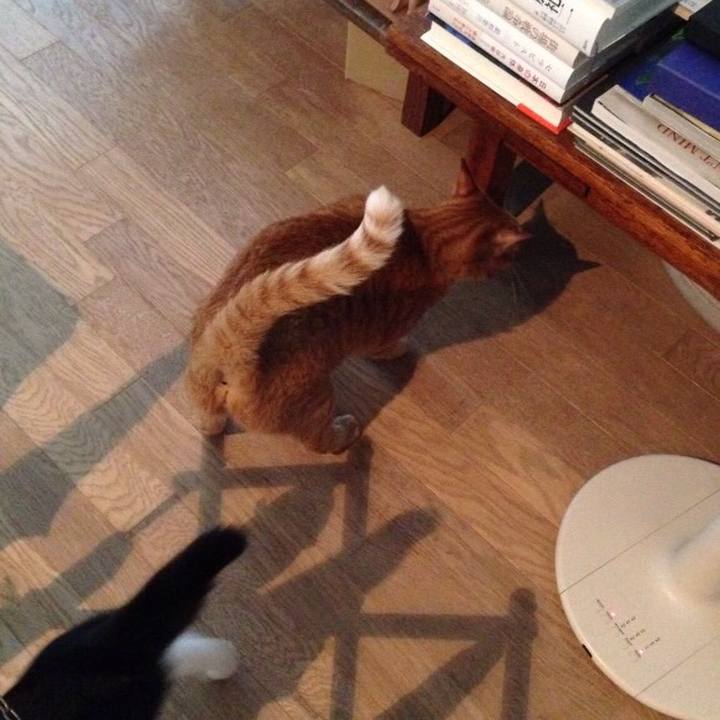 E8c77a65 1b8f 4725 8d72 4df852fc7494