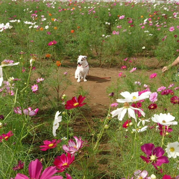 E8c77b05 0fc4 4e45 8e0f 9914934f00ab