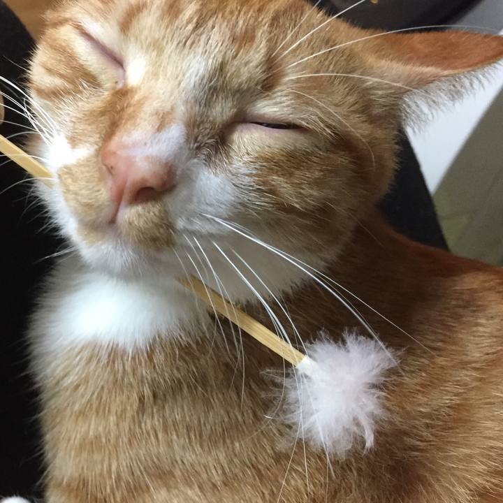 E8ca0b87 c317 4f36 9aa0 c96bc06360bc