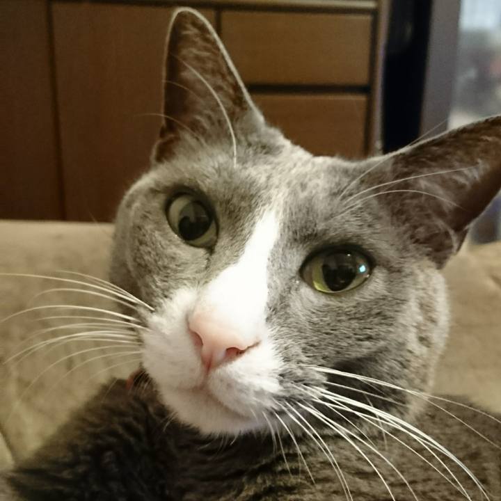 E8ca586c e061 47f9 ae89 cdea3e74859a