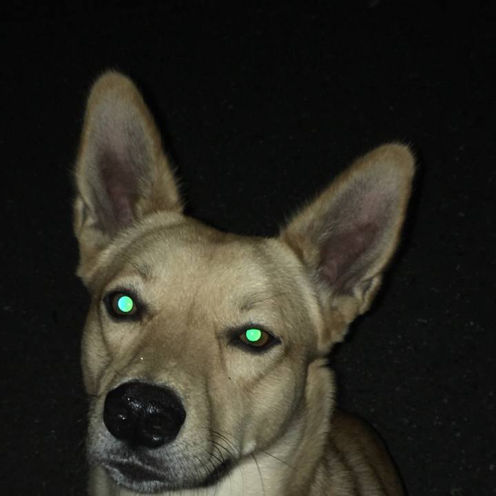 E8ca883e f481 4bb5 958a df24b68b3262