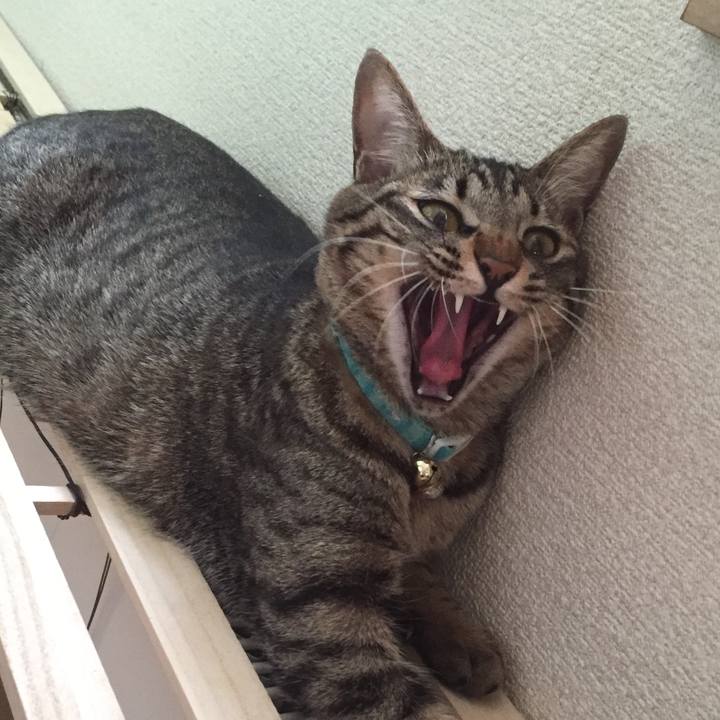 E8cac84e 5d47 4b1e a504 a0b4e329a561