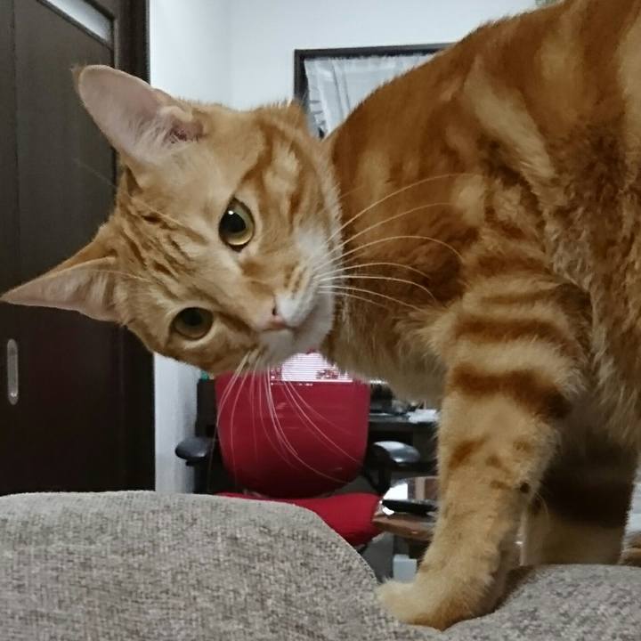 E8cb4a9c 1433 49f0 8504 7cec9602335f