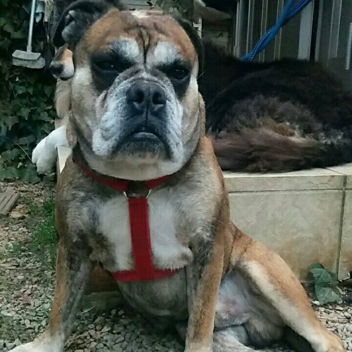 E8cbb360 62bb 40e1 ab74 5132dbd1bf86