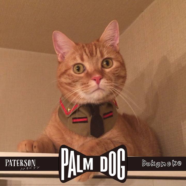 E8cbc2f1 5849 43aa aa2f fb10564ff94e