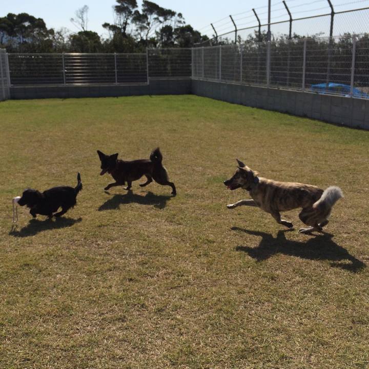 E8ccb992 97be 4510 a364 d69c282a7c2a