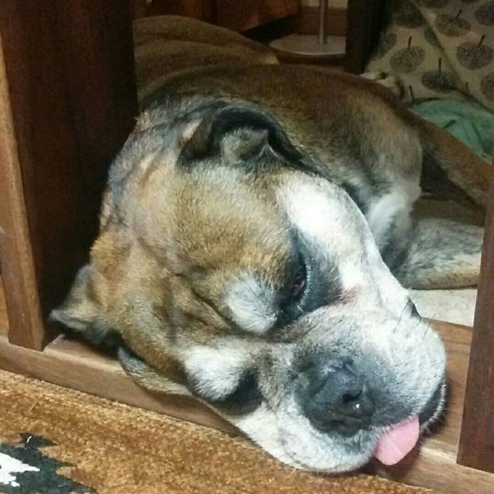 E8ccf7c3 f5ae 44e9 9186 9f7bfb0cbc70