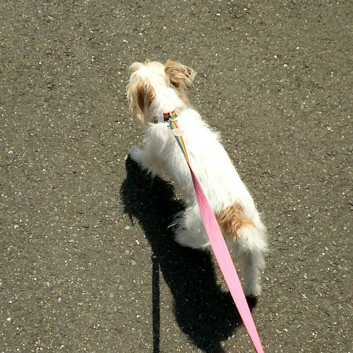 E8cdebc0 04f1 4edc a644 4ebab01e681c