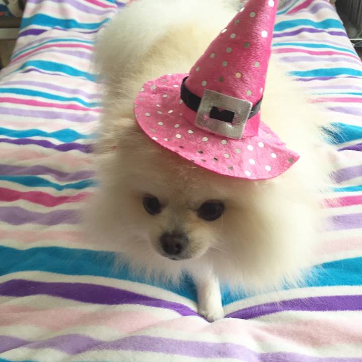 E8ce7715 a282 4924 9179 74b09a0cecae