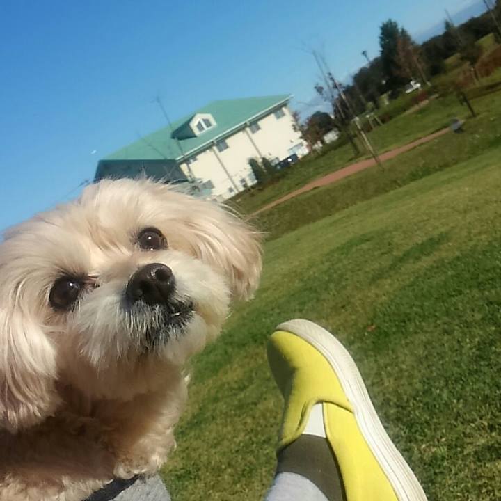 E8cf11b1 ae76 442d 907c 47348fd1d76b