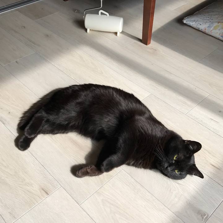 E8cf5eaf 3abe 4d18 85e7 a2f19054b615