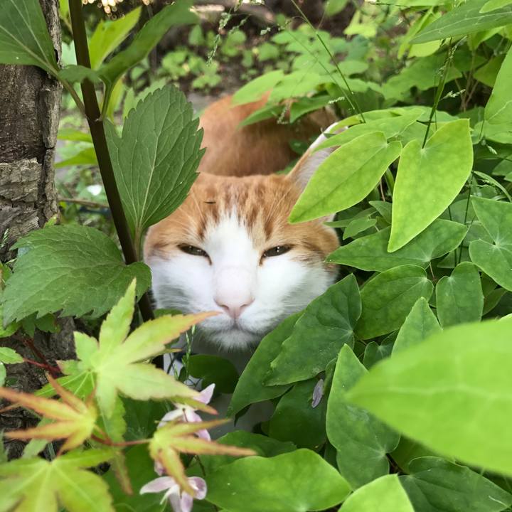 E8d10c6b e2c9 47c0 8f36 b17381639f55