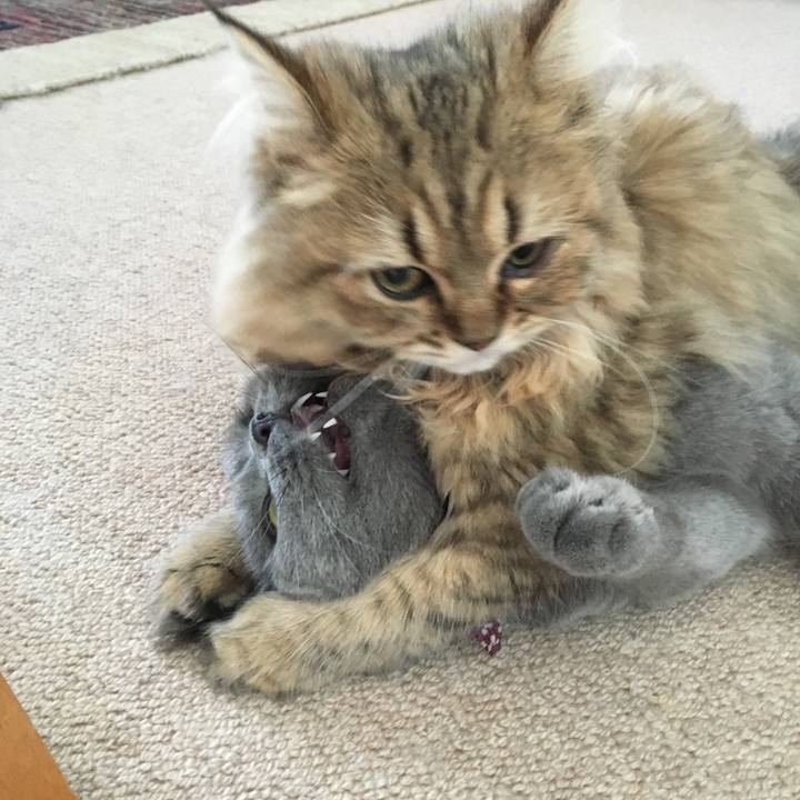 E8d26e02 ce0f 4603 bc0a 6cfe9a842919