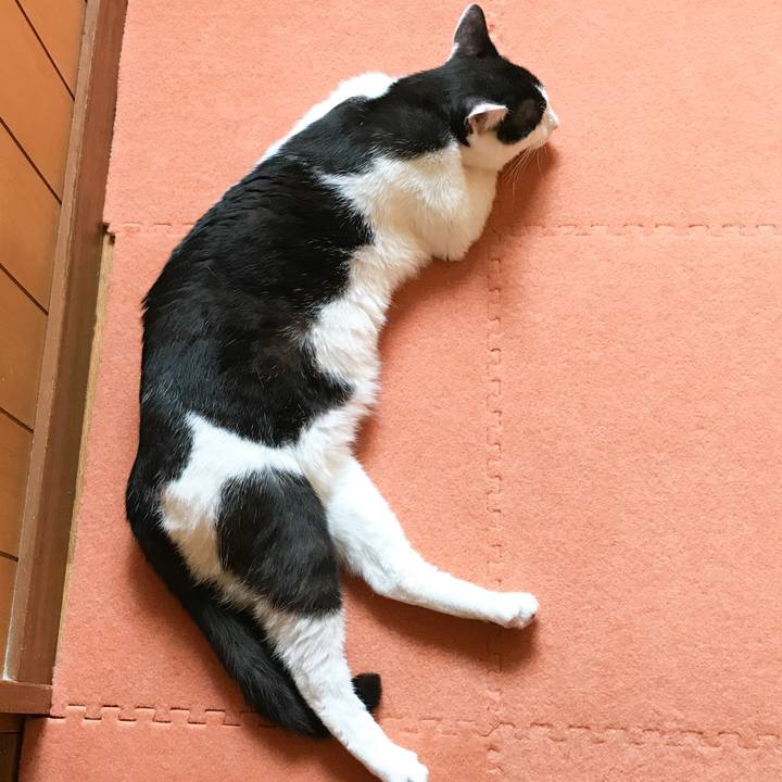 E8d3616b 3553 43b4 a3f0 d5fcd0a601b7