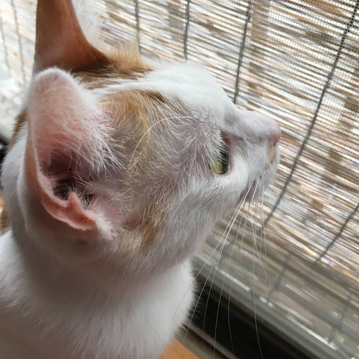 E8d3d8e9 8802 484e a945 274f460cf7ae