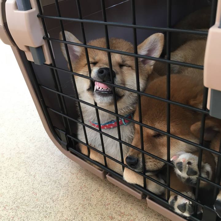 E8d3f70c 79e5 423b 883e a6b28d9edeff