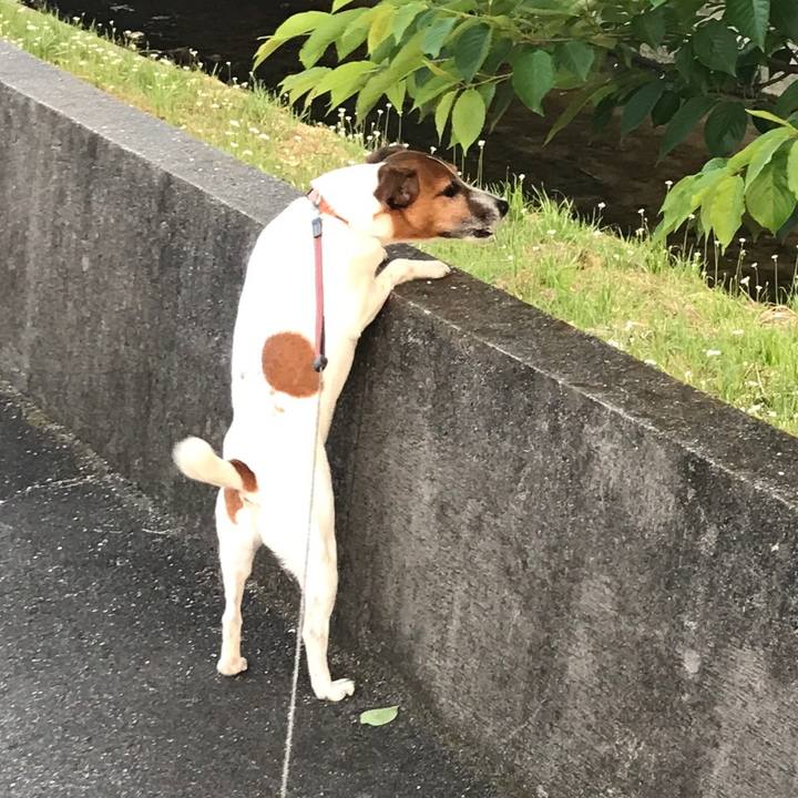 E8d45ad0 0887 41c3 9354 2d462714fee8