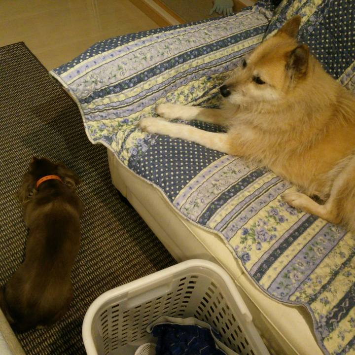 E8d46d46 012f 45a9 b222 ed3bac81bab3