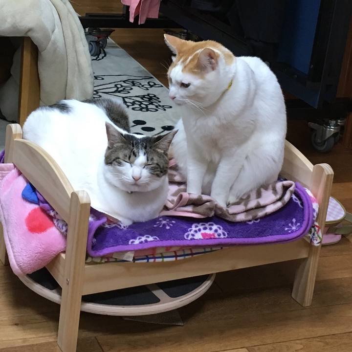 E8d4d7f0 be83 4362 a445 b64e361624dd