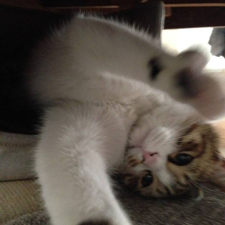 E8d5ae03 0fe6 4993 a0fa 5f08c687118a