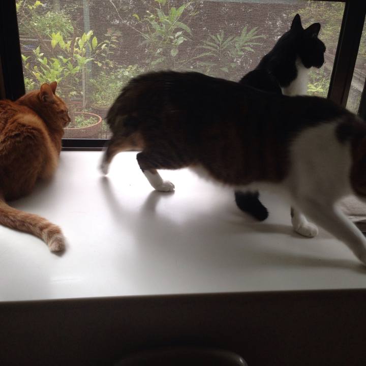 E8d5b5a4 3358 43c9 8ec9 514cf782ec39