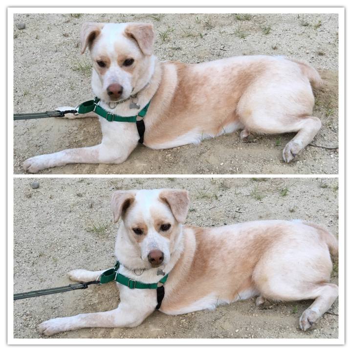 E8d64cbf 0fe1 4396 96b8 02f01e3d516b