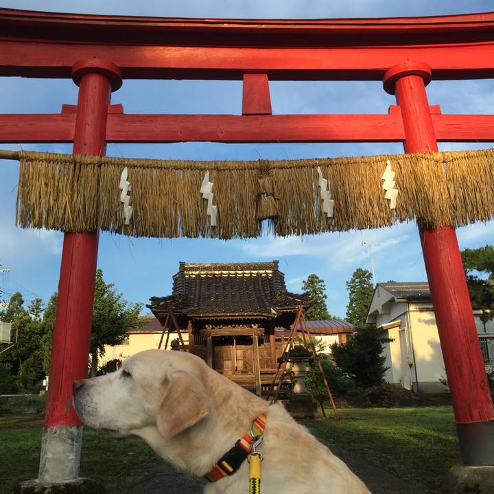 E8d65c83 ee1f 4626 8734 e0160c9400c6