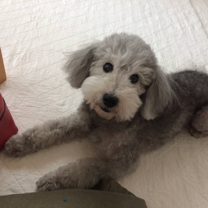 E8d662da 7e2a 4348 ae83 2319df3a6353