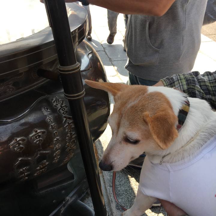 E8d6764a 083f 490c 9607 f40cc0264ef3