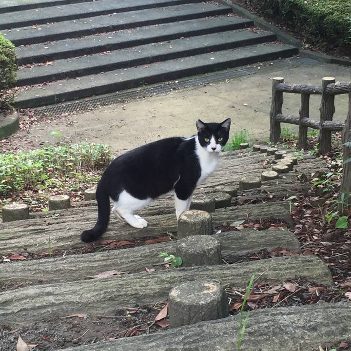 E8d68579 3a24 4f02 b5d5 b184b39cada6