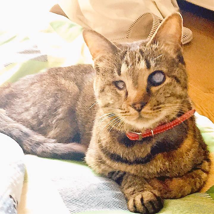 E8d68a08 3ca6 4e7e 92c5 18452653c14a