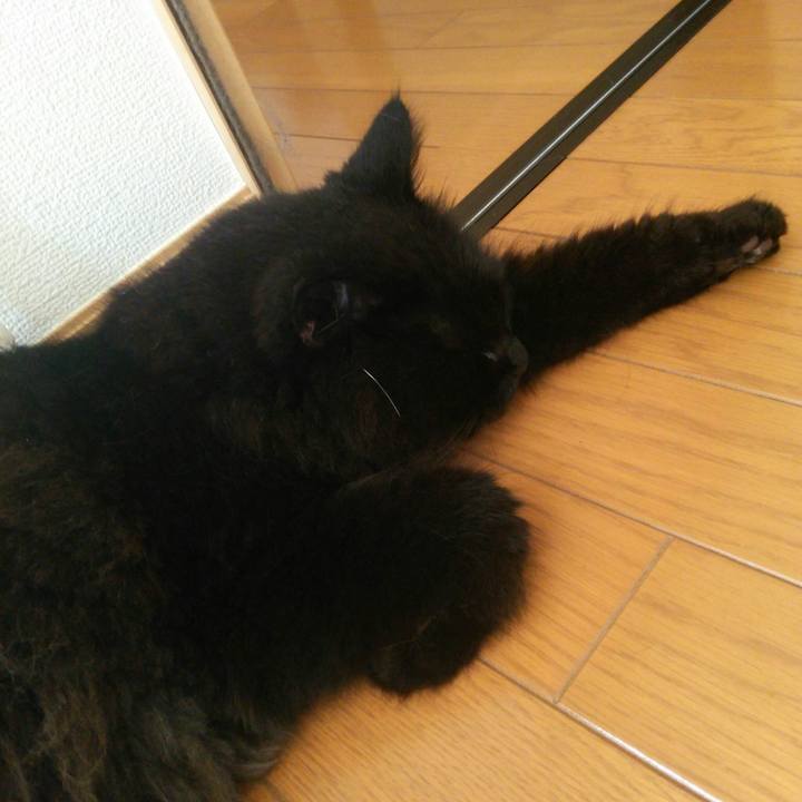 E8d6d337 b569 480e b5a8 10bd69ec80df