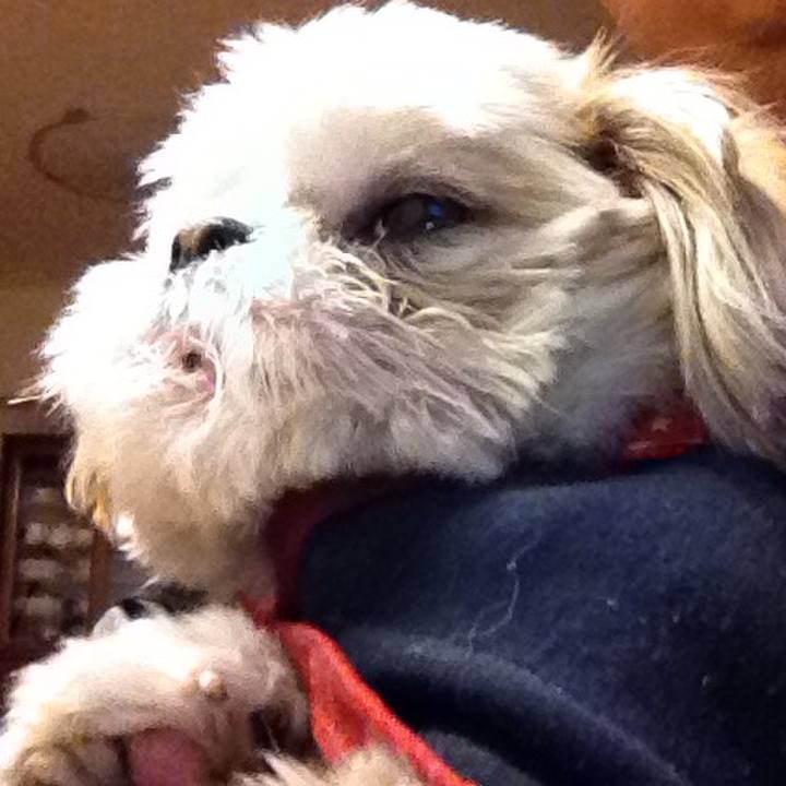 E8d71639 dd5a 4674 a472 a2ed331366e7