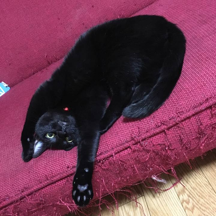 E8d760d9 7e4c 4861 9aa4 d6e13b35d0a1