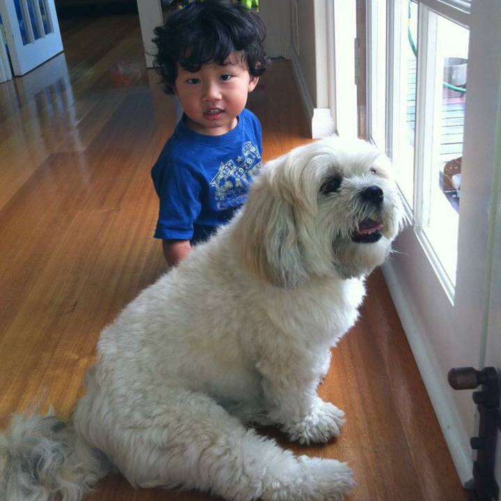 E8d77a36 0fe9 46d1 b9d3 fe85846c1ad9