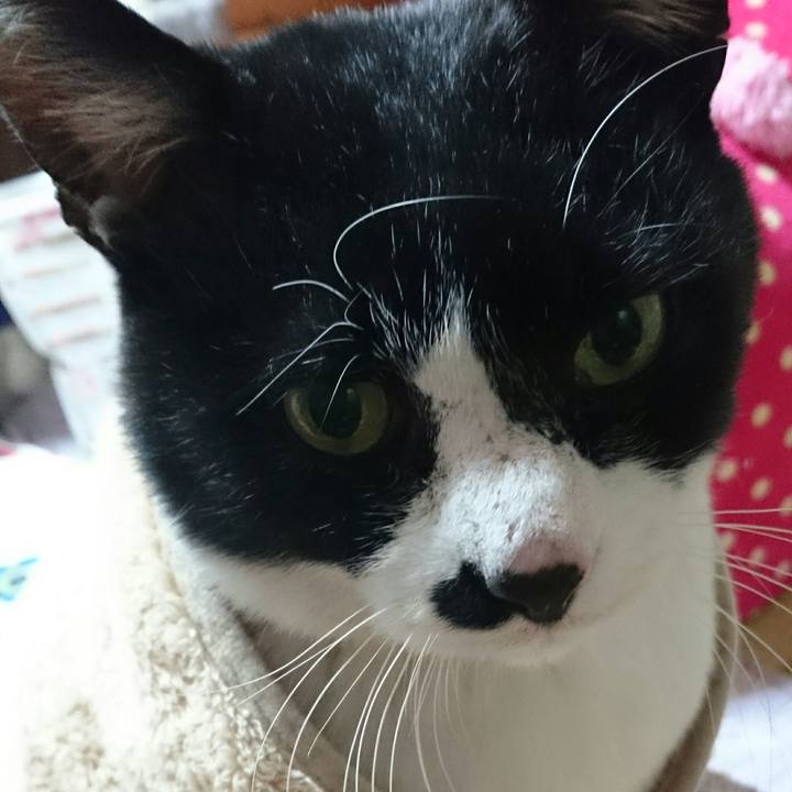 E8d7ee99 f578 40bb b071 ecc81d616d0e