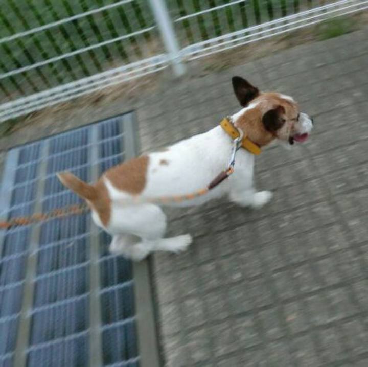 E8d819f3 d63c 41f6 9173 29ecf1ea3eb9